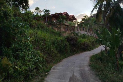 Land for sale in Corazon, Cebu