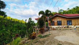 Land for sale in Corazon, Cebu