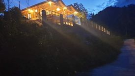 Land for sale in Corazon, Cebu