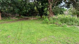 Land for sale in Dirita-Baloguen, Zambales