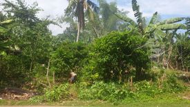 Land for sale in Looc, Bohol