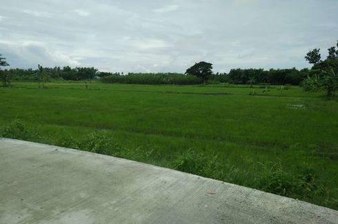 Land for sale in Nabitasan, Iloilo