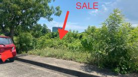 Land for sale in Mactan, Cebu