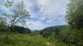 Land for sale in Karon, Phuket