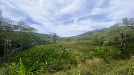 Land for sale in Karon, Phuket