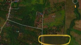 Land for sale in Mabacan, Laguna