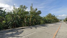 Land for sale in Malabanan, Batangas