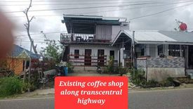 Land for sale in Tabunan, Cebu