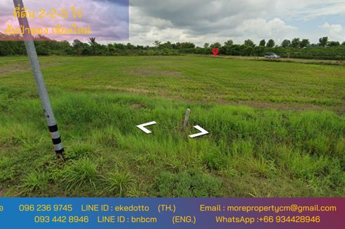 Land for sale in Thung RuAng Thong, Chiang Mai