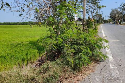 ขายที่ดิน ใน บางเตย, สามโคก