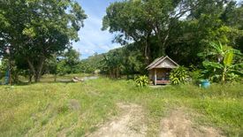 Land for sale in Kamala, Phuket