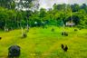 Land for sale in Agsungot, Cebu