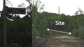 Land for sale in Yati, Cebu