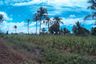 Land for sale in Poblacion, Misamis Oriental