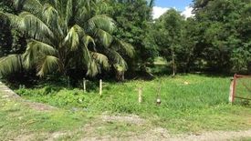 Land for sale in Basak, Cebu