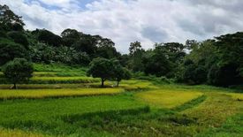 Land for sale in Sapang Bulak, Bulacan