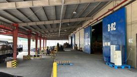 Warehouse / Factory for rent in San Vicente, Laguna