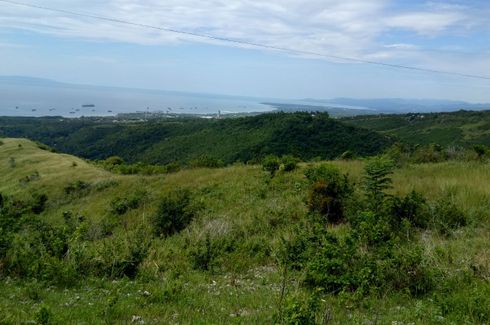 Land for sale in Pitalo, Cebu