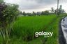 Land for sale in Petulu, Bali