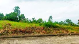 Land for sale in Pardo, Cebu