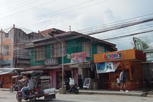 Commercial for sale in Santa Isabel, Oriental Mindoro