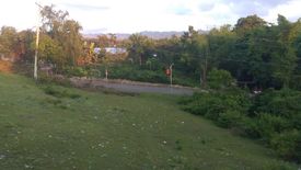 Land for sale in Malabago, Cebu