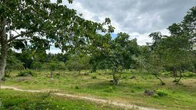 Land for sale in Pulangbato, Batangas
