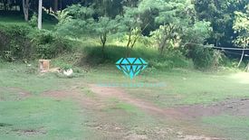 Land for sale in Ratsada, Phuket