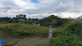 Land for sale in Kamagayan, Cebu