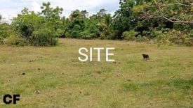 Land for sale in Lanao, Cebu