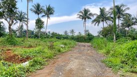 Land for sale in Panungyan II, Cavite
