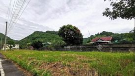 Land for sale in Cadulawan, Cebu