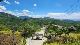 Land for sale in Foressa Mountain Town, Cansomoroy, Cebu