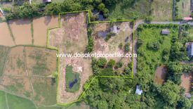 Land for sale in Pa Pong, Chiang Mai