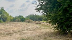 Land for sale in Nikhom Sang Ton Eng, Lopburi