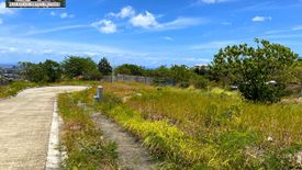 Land for sale in Guadalupe, Cebu