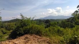 Land for sale in Batang Kali, Selangor