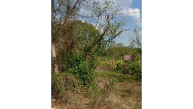 Land for sale in Nasirum, Iloilo