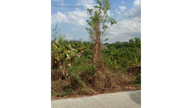 Land for sale in Nasirum, Iloilo