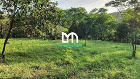 Land for sale in Dela Paz, Rizal