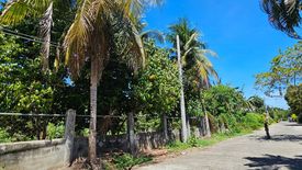 Land for sale in Talomo, Davao del Sur