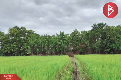 Land for sale in Chedi Chai, Nan