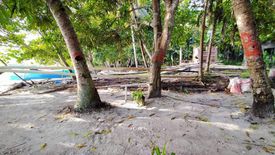 Land for sale in Sion, Davao del Norte