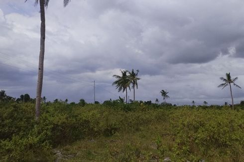 Land for sale in Saavedra, Cebu