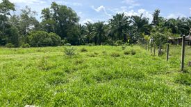 Land for sale in Na Toei, Phang Nga