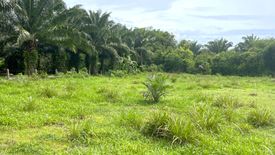 Land for sale in Na Toei, Phang Nga