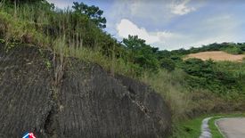 Land for sale in Guadalupe, Cebu