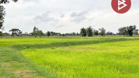 Land for sale in Dong Yai, Maha Sarakham
