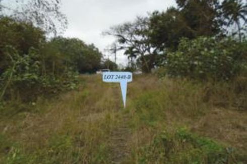 Land for sale in Dacal-Lafugu, Cagayan