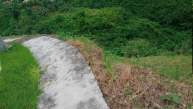 Land for sale in Lagtang, Cebu